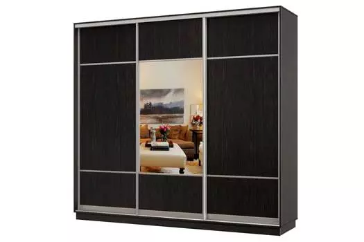 Шкаф-купе 3-дверный Практик 58