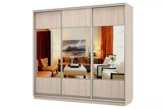 Шкаф-купе 3-дверный Практик 58