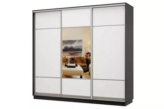 Шкаф-купе 3-дверный Практик 58