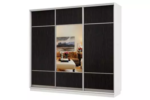 Шкаф-купе 3-дверный Практик 58