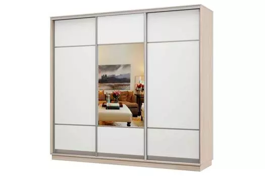 Шкаф-купе 3-дверный Практик 58
