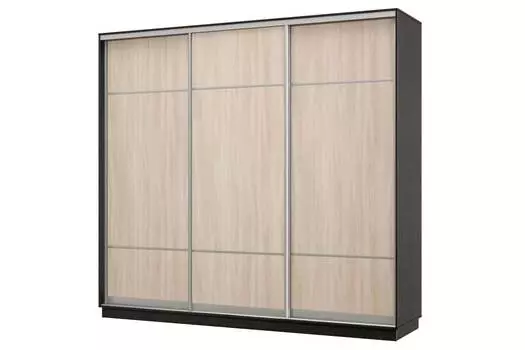 Шкаф-купе 3-дверный Практик 58