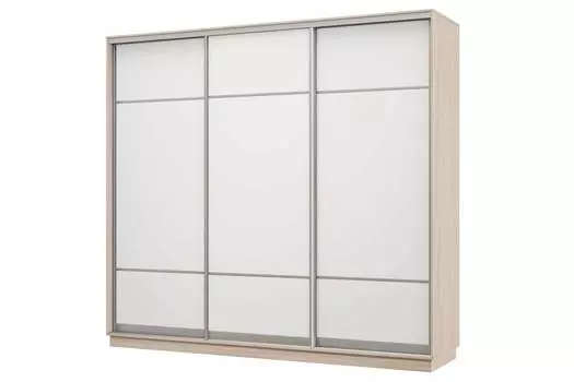 Шкаф-купе 3-дверный Практик 58