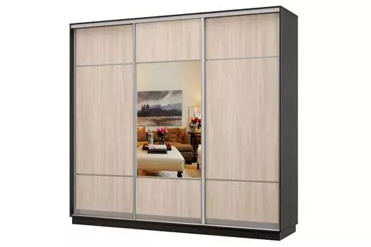 Шкаф-купе 3-дверный Практик 60