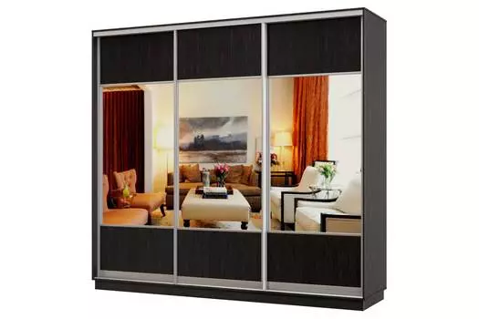 Шкаф-купе 3-дверный Практик 60