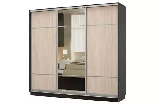Шкаф-купе 3-дверный Практик 60