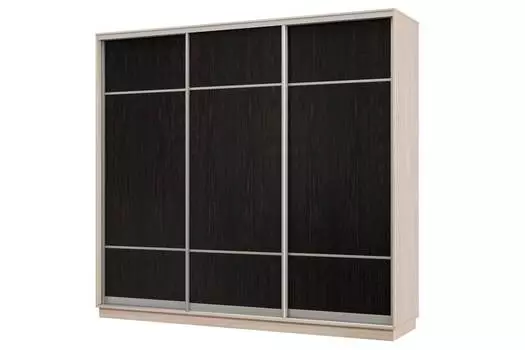 Шкаф-купе 3-дверный Практик 60