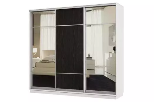 Шкаф-купе 3-дверный Практик 60