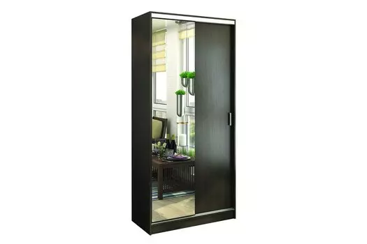 Шкаф-купе Альянс-1