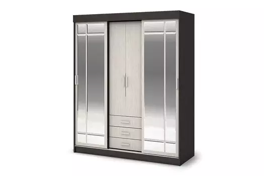 Шкаф-купе Лидер-1