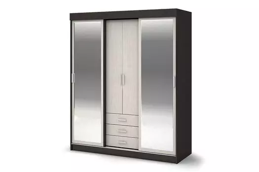 Шкаф-купе Лидер-2