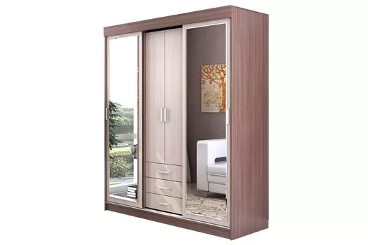 Шкаф-купе Лидер-2