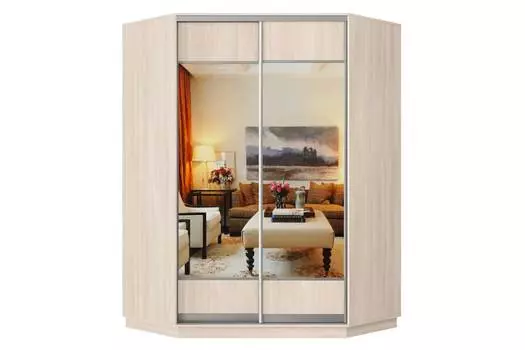 Шкаф-купе угловой 2-дверный Практик 71