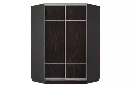 Шкаф-купе угловой 2-дверный Практик 71