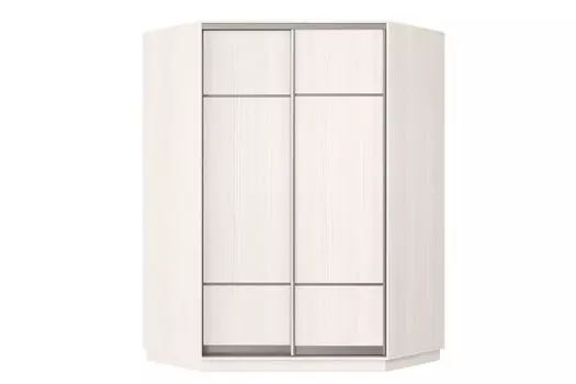 Шкаф-купе угловой 2-дверный Практик 71