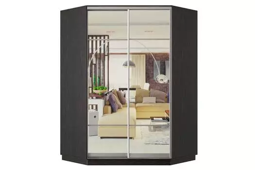 Шкаф-купе угловой 2-дверный Практик 71