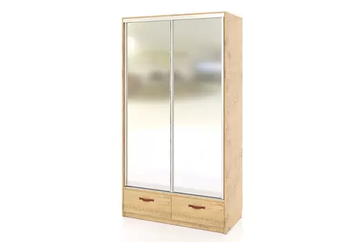 Шкаф-купе Вояж