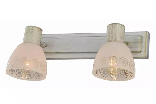 Система спотов Shona