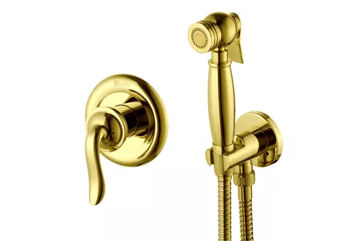 Смеситель встраиваемый с гигиеническим душем Brava