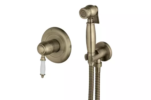 Смеситель встраиваемый с гигиеническим душем Villa