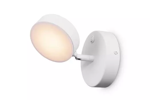 Спот FR10009CW-L6W