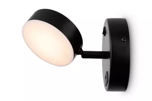 Спот FR10010CW-L6B