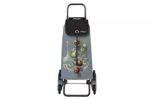 Сумка-тележка на 6 колёсиках IMX039 Bodegon RD6