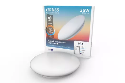 Умный Wi-Fi светильник накладной Smart Home