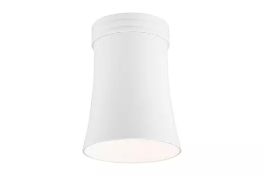Светильник накладной WH DLN100