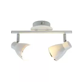 Светильник настенно-потолочный A6008PL-2WH