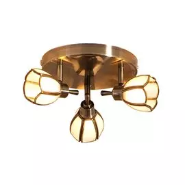 Светильник настенно-потолочный Альтен