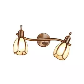 Светильник настенно-потолочный Альтен