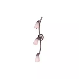 Светильник настенно-потолочный Белла