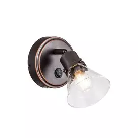 Светильник настенно-потолочный Бисмарк