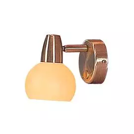 Светильник настенно-потолочный Бонго