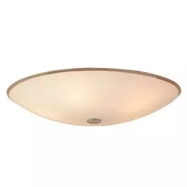 Светильник настенно-потолочный CL911502