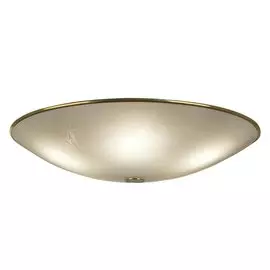 Светильник настенно-потолочный CL911603