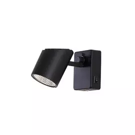 Светильник настенно-потолочный Дубль-2