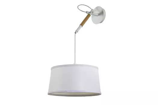 Светильник настенно-потолочный Eureka