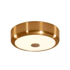 Светильник настенно-потолочный Фостер