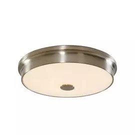 Светильник настенно-потолочный Фостер