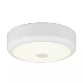 Светильник настенно-потолочный LED Фостер-1