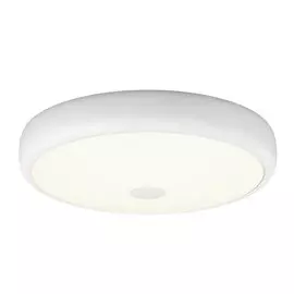 Светильник настенно-потолочный LED Фостер-3