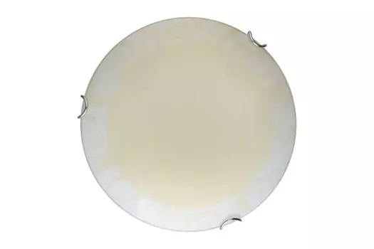 Светильник настенно-потолочный LED Ginger