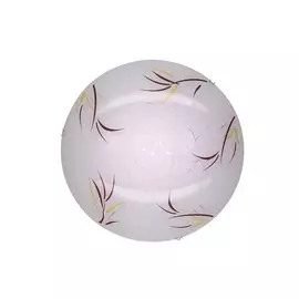 Светильник настенно-потолочный LED Ива