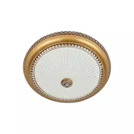 Светильник настенно-потолочный LED Тренди-2