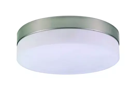 Светильник настенно-потолочный Opal