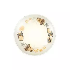 Светильник настенно-потолочный Ovi