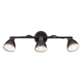 Светильник настенно-потолочный Робуста