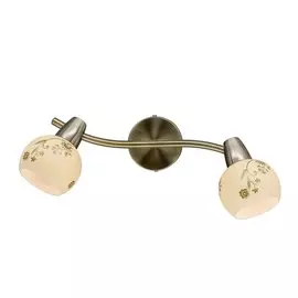 Светильник настенно-потолочный Соната